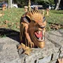 Pièces uniques - Tête de lion sculpté en bois de cyprès - BOIS DE LION