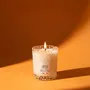 Candles - Vegetable candle 90 g Fruits of the Woods - LES LUMIERES DU TEMPS