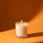 Candles - Vegetable candle 90 g Fruits of the Woods - LES LUMIERES DU TEMPS