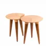 Other tables - Ameoba - Table - Beech and Walnut Wood - DAMJ