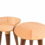 Other tables - Ameoba - Table - Beech and Walnut Wood - DAMJ