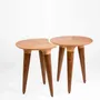 Other tables - Ameoba - Table - Beech and Walnut Wood - DAMJ