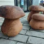 Pièces uniques - Champignons tabourets sculptés en bois - BOIS DE LION