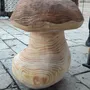 Pièces uniques - Champignons tabourets sculptés en bois - BOIS DE LION
