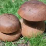 Pièces uniques - Champignons tabourets sculptés en bois - BOIS DE LION