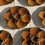 Assiettes de réception - Lot de 12 assiettes à huîtres ou coquillages en céramique brune vernis - OFFICE OBJETS