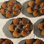 Assiettes de réception - Lot de 12 assiettes à huîtres ou coquillages en céramique brune vernis - OFFICE OBJETS