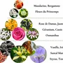 Parfums pour soi et eaux de toilette - Eaux de parfum naturelles - Kit échantillons 5 Esprits de la Nature - POÉSIE PARFUMÉE