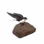 Outdoor decorative accessories - White Swallow open Wings Recycled Metal Sculpture - TERRE SAUVAGE