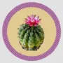 Table mat - Bottle coaster - Cactus Sottobottiglia Rotondo - #02 - FURIA LIVING
