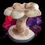 Pièces uniques - Girolles tabourets sculptées en bois - BOIS DE LION