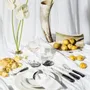 Cutlery set - Metropolitan Table Cutlery Set | Natural Horn - ZANCHI 1952