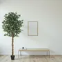 Floral decoration - Artificial ficus, black plastic pot - LIGNE DÉCO