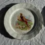 Formal plates - Set of 5 antique plates with pheasant pattern Hamage & Moulin des Lou - OFFICE OBJETS