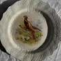Formal plates - Set of 5 antique plates with pheasant pattern Hamage & Moulin des Lou - OFFICE OBJETS