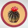 Dessous de plat - Dessous de verre - Cactus Sottobicchiere Rotondo - #02 - FURIA LIVING