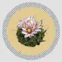 Table mat - Bottle coaster - Cactus Sottobottiglia Rotondo - #03 - FURIA LIVING