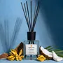 Scent diffusers - Turchinu Broadcaster - IVIUCCIU DI CORSICA