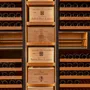 Shelves - "Haute Couture" Wine Cellar - CUBEX