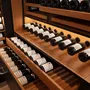 Shelves - "Haute Couture" Wine Cellar - CUBEX