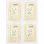 Kitchen utensils - Sponge - FLOWER LABEL Sponge/DAINICHI collection - ABINGPLUS