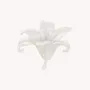 Bijoux - Broche fleur & tige nacre blanche - Lis Blanc - NATURE BIJOUX