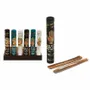 Home fragrances - Phrenology & Palmistry Incense Sticks - SOMETHING DIFFERENT WHOLESALE