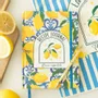 Stationery - Italian Lemon Print A5 Recipe Journal - SOMETHING DIFFERENT WHOLESALE