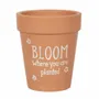 Pots de fleurs - Fleurissez là où vous êtes planté Pot de fleurs en terre cuite - SOMETHING DIFFERENT WHOLESALE