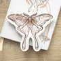 Jewelry - Luna Moth Trinket Dish - SOMETHING DIFFERENT WHOLESALE