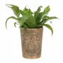Flower pots - Moon Shadows Bronze Terracotta Plant Pot by Lisa Parker - SOMETHING DIFFERENT WHOLESALE
