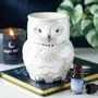 Scents - Owl Shaped Iridescent Oil Burner and Wax Warmer - SOMETHING DIFFERENT WHOLESALE