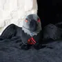 Toys - Raven Plush Toy - SOMETHING DIFFERENT WHOLESALE