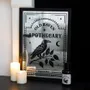 Decorative objects - Old Raven Apothecary Mirrored Wall Art - SOMETHING DIFFERENT WHOLESALE
