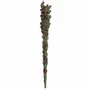 Objets de décoration - Baguette de l'Homme des Bois - SOMETHING DIFFERENT WHOLESALE