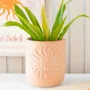 Flower pots - Terracotta Sun Plant Pot - SOMETHING DIFFERENT WHOLESALE