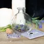 Objets de décoration - Bocal à sorts en verre de 10 cm avec livret de recettes - SOMETHING DIFFERENT WHOLESALE