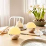 Lampes de table - Boule lumineuse ALBA chromée — Lot de deux - DYBERG LARSEN