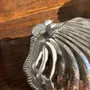 Kitchen utensils - Vintage silver plated shell butter dish with transparent cup - OFFICE OBJETS