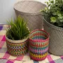 Decorative objects - Iraca Baskets - GUANABANA HANDMADE