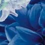 Tapisseries - Papier peint panoramique Dahlia Bleu Xl - LE PAPIERS DE NINON