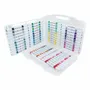 Loisirs créatifs pour enfant - 60 Marqueurs Acryliques à Double Pointe "Flexy-Chisel" - SPREE