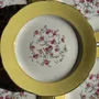 Formal plates - Set of 19 large vintage yellow dinner plates with pink flowers and bor - OFFICE OBJETS