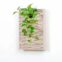 Decorative objects - Vegetal acoustic panel - Sand 60 × 40 - ARTENA VEGETAL