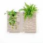 Decorative objects - Vegetal acoustic panel - Sand 60 × 40 - ARTENA VEGETAL