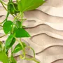 Decorative objects - Vegetal acoustic panel - Sand 60 × 40 - ARTENA VEGETAL
