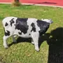 Objets design - Vache décorative noire et blanche en Résine - VACHES ET COMPAGNIE