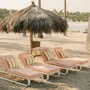 Lawn chairs - The Contini Sun Lounger - BUSINESS & PLEASURE CO.