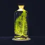 Gifts - Theophile's Herbarium — Monstera XL - Plant immersed in a bottle - THEOPHILE BERTHON