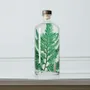 Gifts - Theophile's Herbarium — Monstera XL - Plant immersed in a bottle - THEOPHILE BERTHON